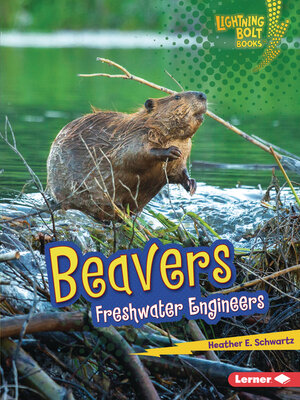 cover image of Beavers